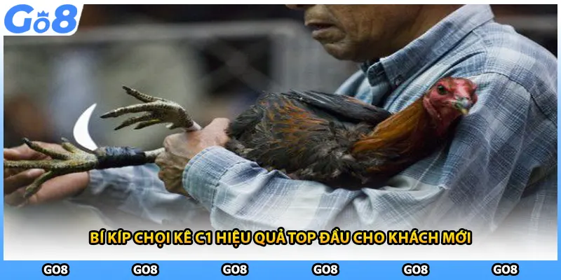 Bí kíp chọi kê C1 hiệu quả top đầu cho khách mới