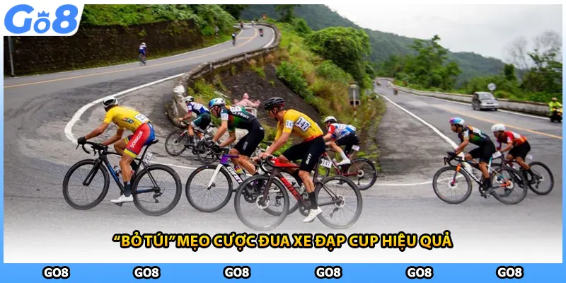 “Bỏ túi” mẹo cược đua xe đạp cup hiệu quả