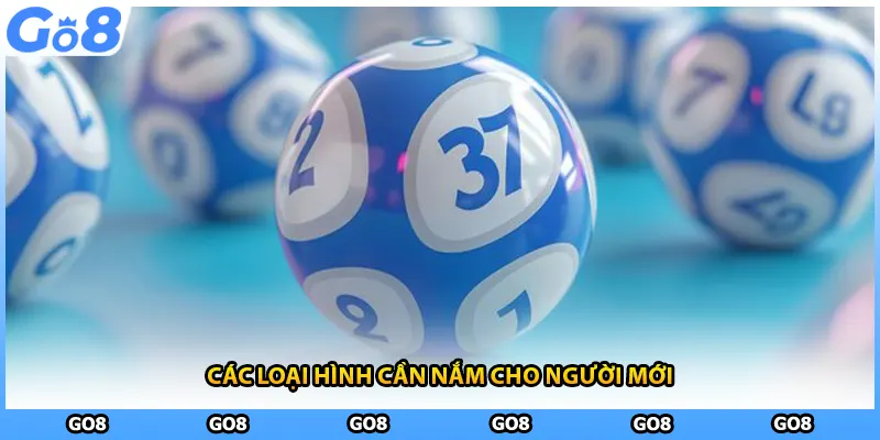 Các loại hình cần nắm cho người mới