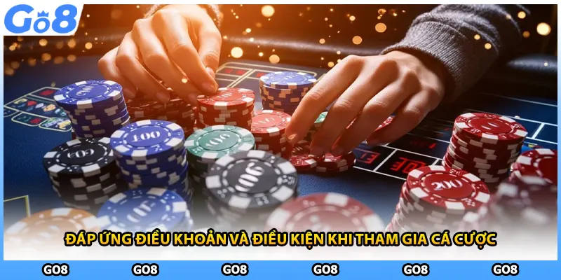 Đáp ứng điều khoản và điều kiện khi tham gia cá cược