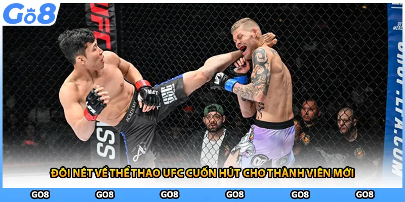 Đôi nét về thể thao UFC cuốn hút cho thành viên mới
