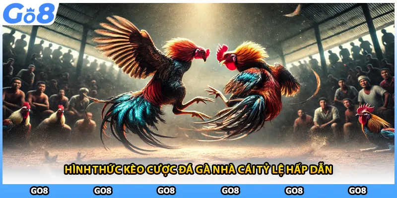 Hình thức kèo cược đá gà nhà cái tỷ lệ hấp dẫn
