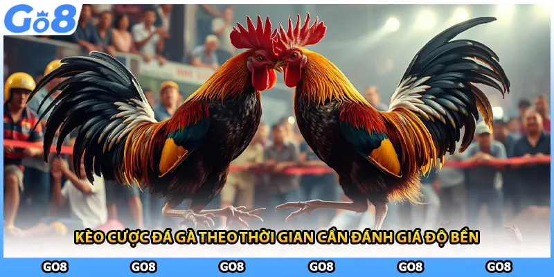 Kèo cược đá gà theo thời gian cần đánh giá độ bền