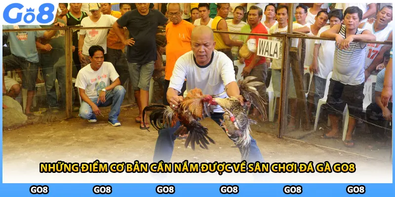 Những điểm cơ bản cần nắm được về sân chơi đá gà GO8