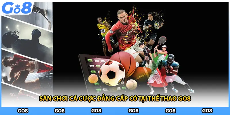 Sân chơi cá cược đẳng cấp có tại thể thao GO8