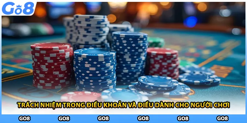 Trách nhiệm trong điều khoản và điều dành cho người chơi